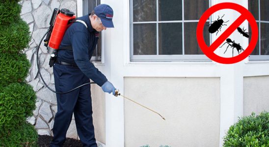 Ula Gümüşkurt İlaçlama böcek ilaçlama ve haşere kontrolü — ilaclama-tr.com